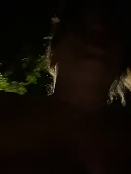 Dulcepasion26's cam snapshot