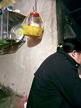 riso-00's cam snapshot