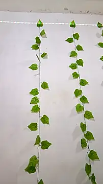 shayna_all live sex cam