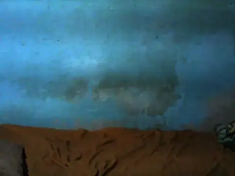 little__joy's cam snapshot