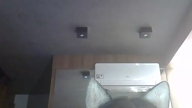 SkinnyKitten live sex cam