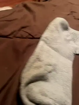 qazsazx live sex cam