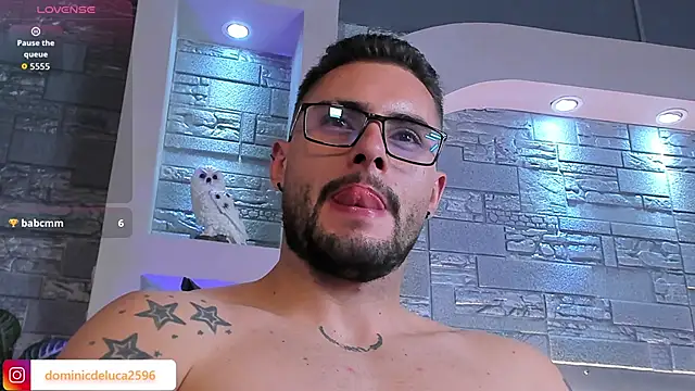 dominic_de_luca's cam snapshot