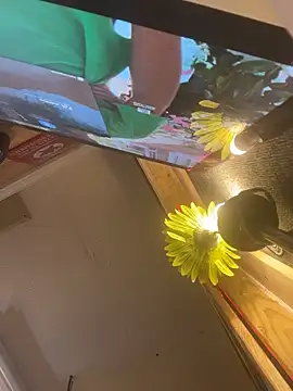 Polaroid_White live sex cam