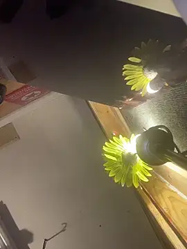 Polaroid_White's cam snapshot