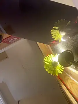 Polaroid_White's cam snapshot