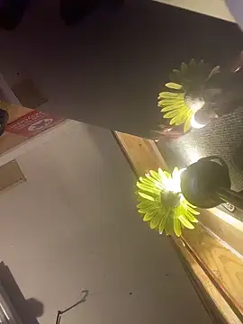 Polaroid_White live sex cam