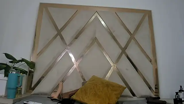 indiraasm's cam snapshot