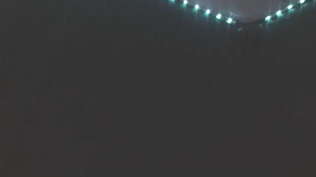 GenitalWars's cam snapshot