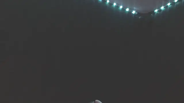 GenitalWars's cam snapshot