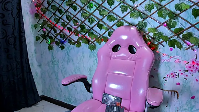 Pamesmith's cam snapshot