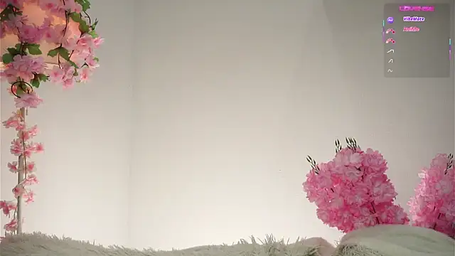 AmiLewis's cam snapshot