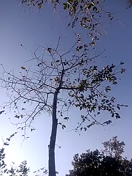 Hot_rachnasexy's cam snapshot