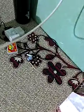 newoneforyo's web cam