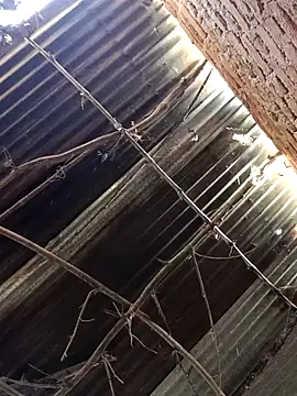 Rubi12A's cam snapshot