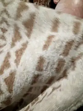 kat2026's cam snapshot