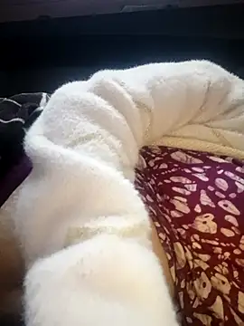 Jeya_thakur's cam snapshot