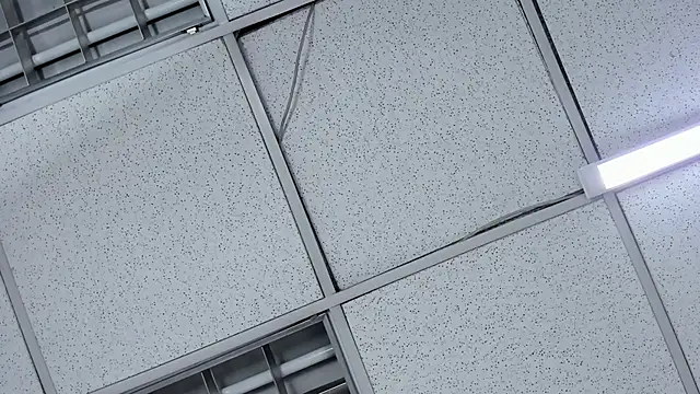 Gianna_Johnson live sex cam