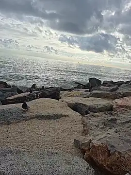 SexyErola27 live sex cam