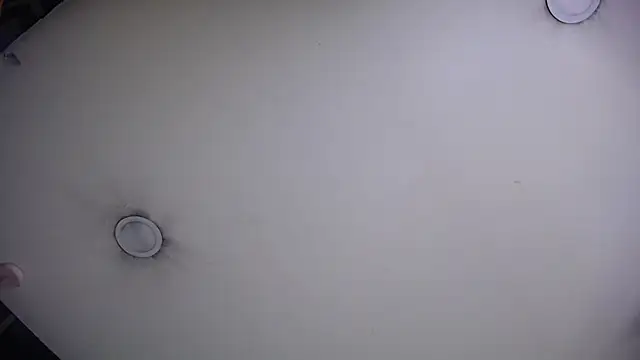 Domincka's cam snapshot