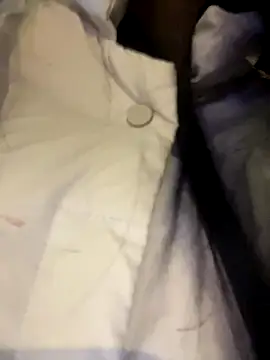 petoys's cam snapshot