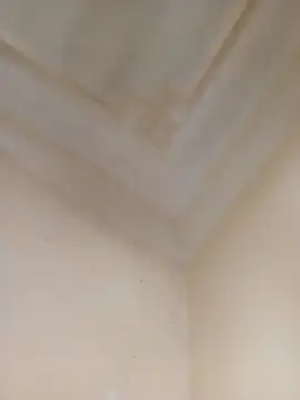 Sondosa3's cam snapshot