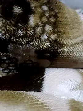 Delhi_real_meet00's cam snapshot