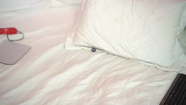 Arte_Adelle live sex cam