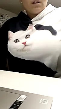 SEXCOPPIA_2023 live sex cam