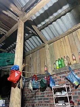 nachi-baby's cam snapshot