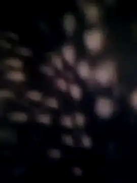 Diksha_For_You's cam snapshot