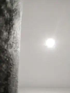 Maeefilha260 live sex cam