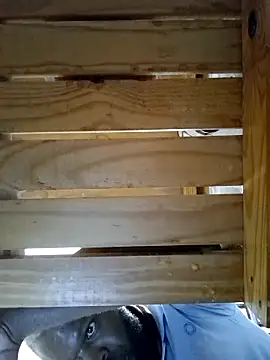 Touch_mysoul's cam snapshot