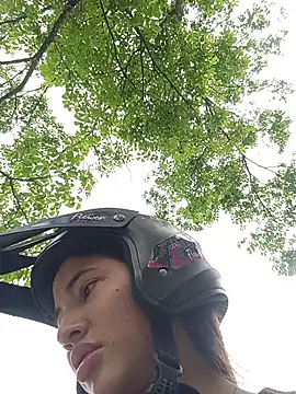 -Nicol's cam snapshot