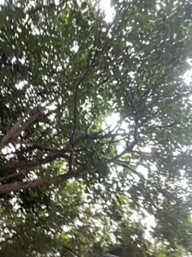 boyc022_'s cam snapshot