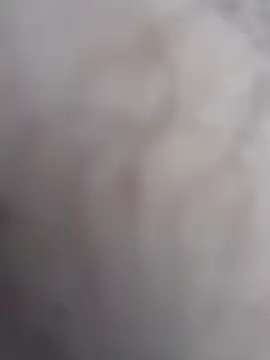 bigdickturk11 live sex cam