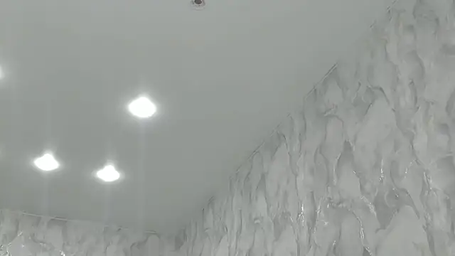 succubus's cam snapshot