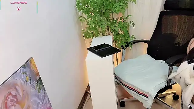 NEWONETO's cam snapshot