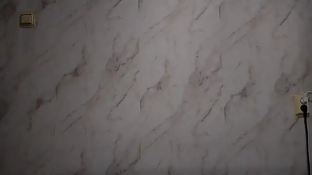 TianaMeiser's cam snapshot