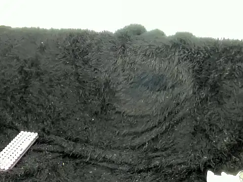 kerly_monroe's cam snapshot