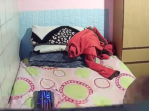 Pintiliescu's cam snapshot