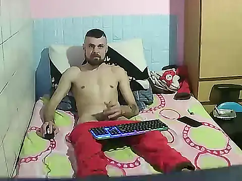 Pintiliescu's cam snapshot