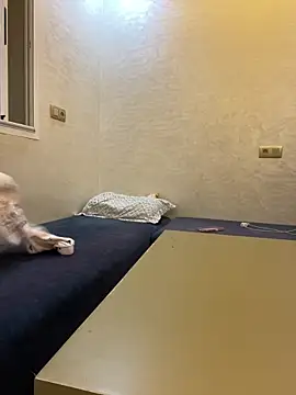 Bold-arabic-vibes live sex cam