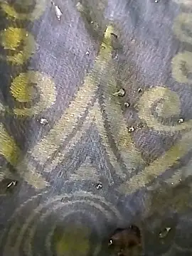 jellydicks live sex cam