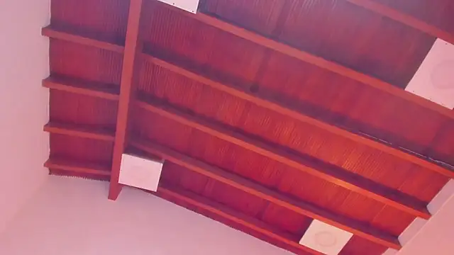 DaniRousse's cam snapshot