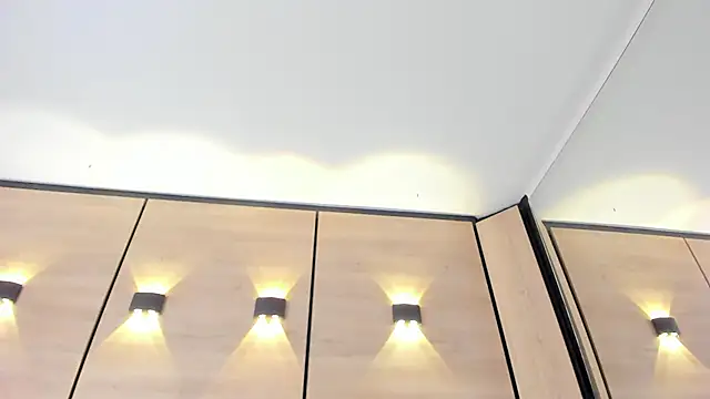 karol_lewiss's cam snapshot