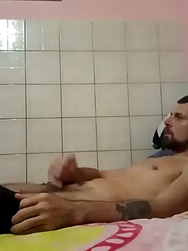 Pintiliescu's cam snapshot