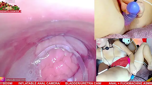 MaryBrook1 live sex cam