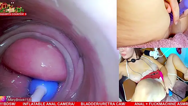 MaryBrook1 live sex cam