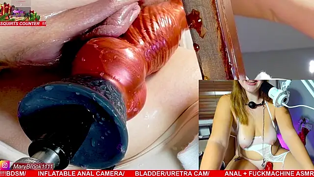 MaryBrook1 live sex cam